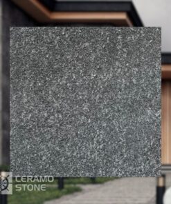 Гранит Black Diamond 600*600*20 мат